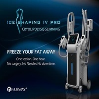 Non Surgical Vertical body shaping / fat freezing / cryo slimming machine with anti freeze membrane