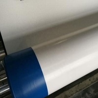 Pre Applied HDPE glue releasing film/granules Self Adhesive Membrane for Underground Waterproofing