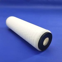 Sterile Grade Hydrophobic Polypropylene Pleated Membrane Filter Cartridge