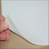 PTFE Expanded Tape/PTFE Porous Membrane