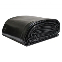 0.8mm 1.0mm 1.2mm Outdoor Aquascape Landscape Waterproof Membrane EPDM Rubber Geomembrane Pond Lining