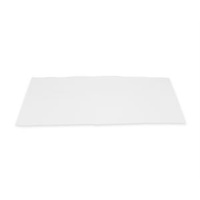 Hot Sale Nitrocellulose Transfer Membrane, 0.22um for 45b Use