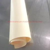 Lanxess Anion Exchange Membrane Sheet / Ionac MA-7500