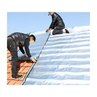 Factory Direct Alubutyl Self-Adhesive Membrane Waterproof Tape for Metal Roof Industrial Design Style Good Quality and Price