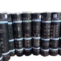 SBS APP Bitumous Modified Waterproofing Membrane 3mm TPO & PE for Outdoor & Construction Torch-Down Bitumen Industrial Design