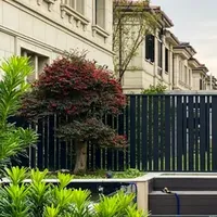 Elegant Outdoor Fence and Balcony Guardrail for Staircase Safety