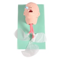 Medical Training Human Airway CPR Manikin Child Trachea Intubation Model