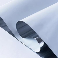 Alloy Modified PET Membrane Base Material for Metallic Membrane Film 100*55*55cm/roll
