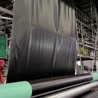 Biogas Pit/Oxidation Pond/Impervious Membrane/Factory Price
