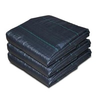 Protecting PP Woven Membrane PE Ground Cover Mesh Weed Mat Roll Anti Grass Weed  Mulch Film