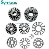 Custom Rotor Stator Stamping/ISO Stamping Factory/Build The Die and Produce Metal Stampings