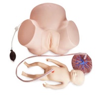 PVC Difficult Labour Model Anatomical CPR Manikin for Nurse Training Medical Science Nursing Model