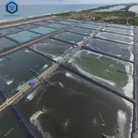 0.75mm Black Waterproof HDPE Geosynthetic Membrane for Shrimp Farm in Vietnam