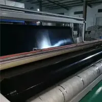 Black Geomembrane, Non-Permeable Membrane, Lotus Pond Membrane