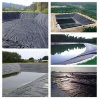 Waterproof Black 1.0mm HDPE Impermeable Membrane