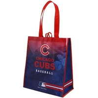 100% Eco-friendly Colors Printed Non Woven With Bopp Laminated Shopping Bag