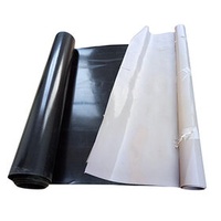 Affordable Waterproofing Membranes