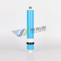 Hotel Domestic RO 500g Water Purifier Membrane Housing Reverse Osmosis Membrane 500 Gpd