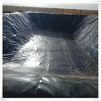 60mils/1.5mm Thickness HDPE Membrane for Building Landfill Cell/Pond Liner Men