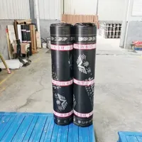 Artificial Lake Reservoir for Waterproofing Sbs APP Bitumen Waterproof Membrane
