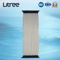 Litree PVDF Membrane Bioreactor for Grey Water Treatment Mbr System