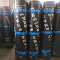 China Supplier Bitumen Flexible Self Adhesive Polyethylene Polypropylene PP PE Waterproof Membrane