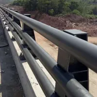 Bridge Guardrails Hot DIP Galvanized/Powder Coated Surface & Customized Size High Quality Guardrails