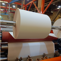 BOPP Film Label Jumbo Rolls