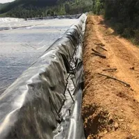 HDPE PE Membrane / Pond Liner for Fish Pond/ Swimming Pool Liner