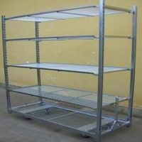 Hot Galvanized W555mm Outdoor Plant Racks , 500kgs Danish Trolley Shelves