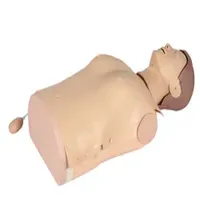 Dm-CPR1900 Half Body CPR Manikin