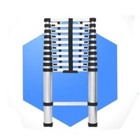 Telescopic Ladders SGS 2.3m Telescopic Ladder Ladder With Handrail 2 Step Ladder With Handrail