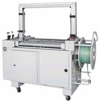 Customizable Case Packer Machine With BOPP / PVC Tape High Durability