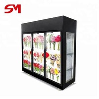 Professional CE Approved Flower Chillers and Coolers