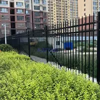 Premium Customized Zinc Steel Guardrail Long Household Safetyfence