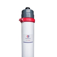 UF 219 Ultrafiltration Membrane PES Hollow Fiber Membrane Water Filter UF Membrane