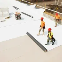 Tpo Waterproof Membrane for Different Roofs Waterproofing Tpo PVC Membrane