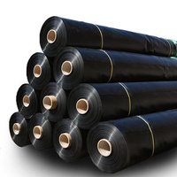 HDPE LDPE Polythene Sheets Waterproof Membrane Aquaculture Geomembranes 1mm 15 mm 1.5mm Plastic Pond Liners Shrimp for Sale