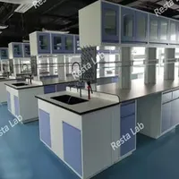 Steel Lab Bench Workstation with Overhead Cupboard Cabinet Reagent Racks and Sinks