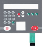 Custom Metal Dome Membrane Switch Panel with Insert Label
