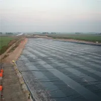 0.75mm Exposed Roof Thermoplastic Polyolefin Tpo Waterproof Membrane