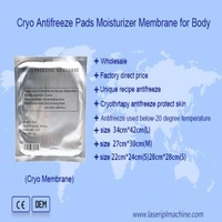 Cryo Antifreeze Membrane Pads Skin Tightening Whitening Moisturizer Handheld
