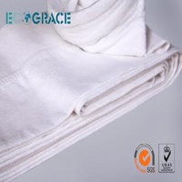 Strong Acids and Alkalis Resistance PPS Filter Bag With PTFE Membrane Treatment