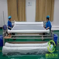 Hydrophobic PTFE Filter Membrane Customized