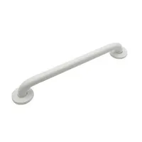 Disabled Handrails White Spray Surface