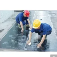 Self-Adhering Bitumen Waterproof Membrane for Industrial and Civil Building Roofing/Metal Roofing/ Pool
