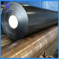 Geomembrane Impermeable Membrane Reservoir Lotus Pool Pond Impermeable Membrane Waterproofing Membrane Aquaculture Ponds