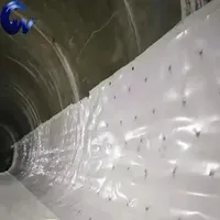 EVA Waterproof Membrane Is Commonly Used in Underground Anti-Seepage Engineering