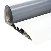 High Reflectance 1.2mm 1.5mm 2.0mm Tpo Waterproofing Membrane