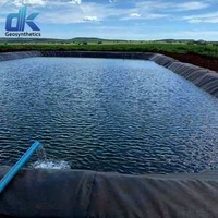 Factory Recommend Thickness Geomembrane 30mil 40mil Black Anti-UV HDPE Membrane for Fish and Shrimp Farming